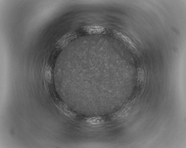 X0000115740761200912101314