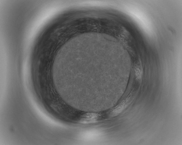 X0000115740766200912101314