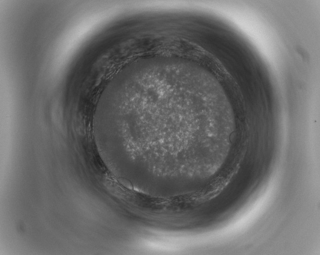 X0000115740767200912101314