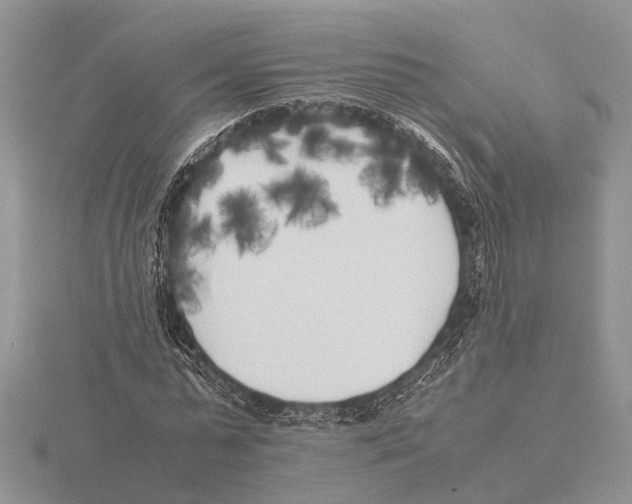 X0000115740775200912101314