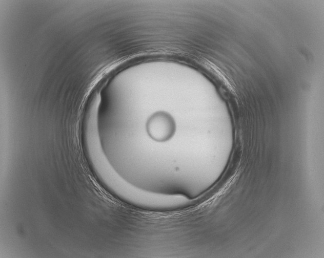 X0000115740781200912101313