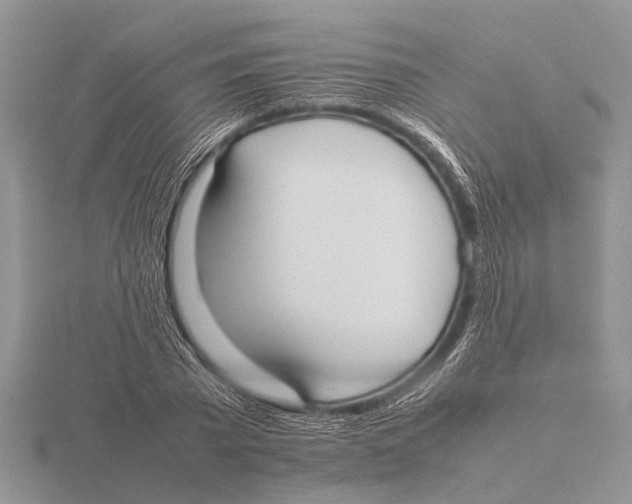 X0000115740785200912101313