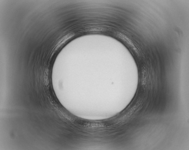 X0000115740786200912101313