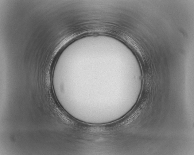 X0000115740789200912101313