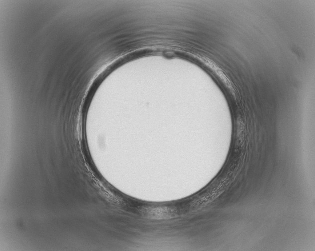 X0000115740791200912101313