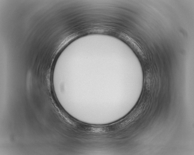 X0000115740794200912101313