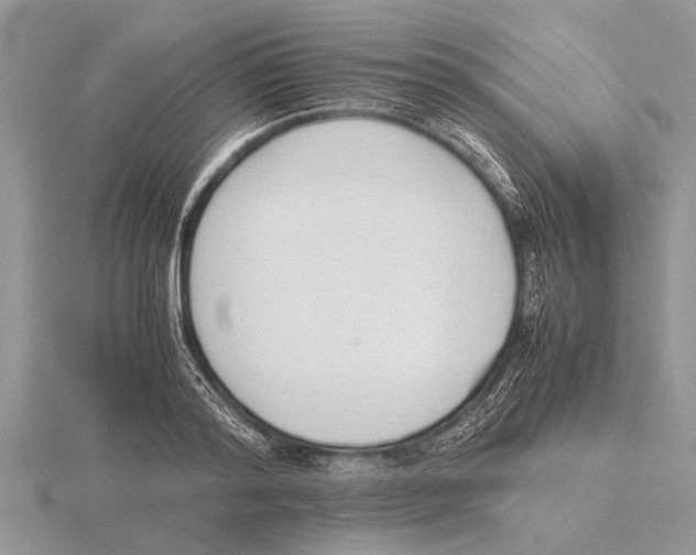 X0000115740796200912101313