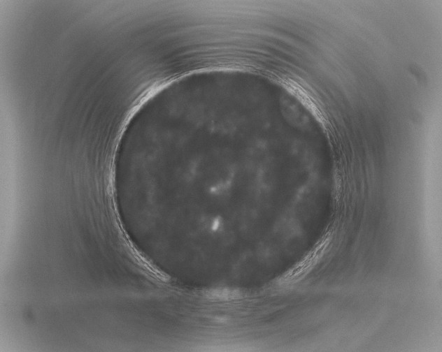 X0000115740797200912101313