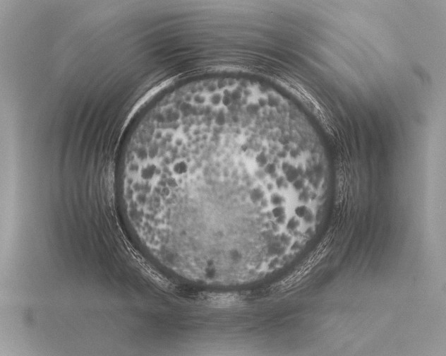 X0000115740798200912101313