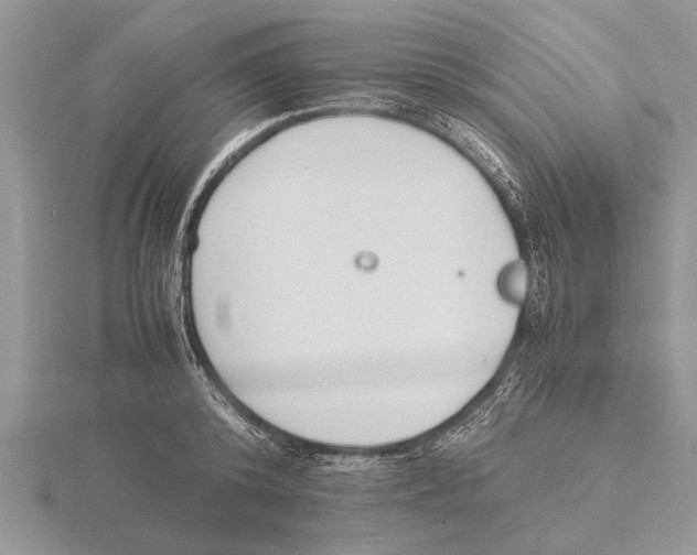 X0000115740800200912101313