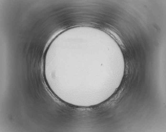 X0000115740804200912101313