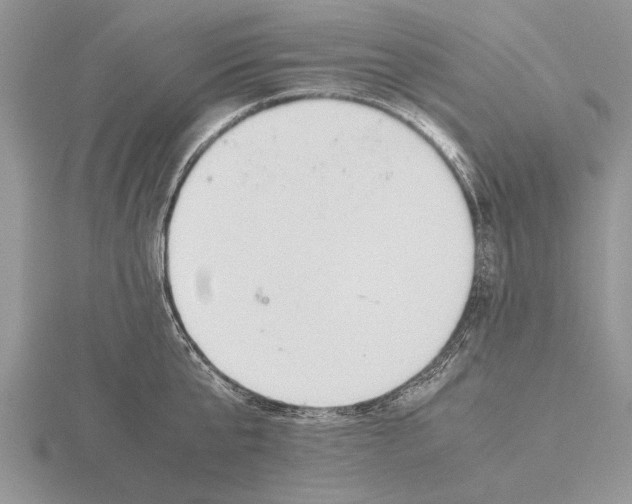 X0000115740807200912101313