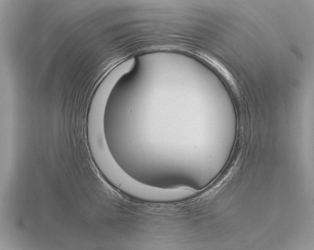 X0000115740809200912101313