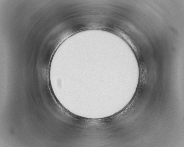 X0000115740810200912101313