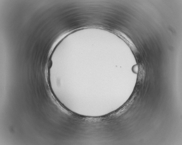 X0000115740812200912101313