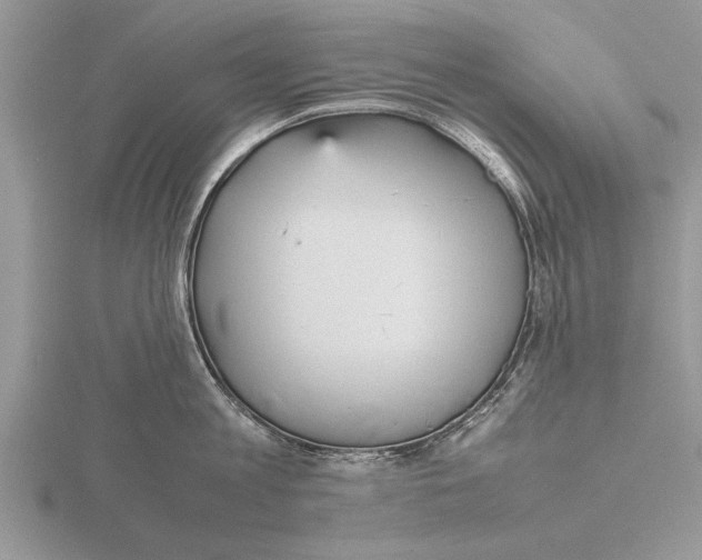 X0000115740813200912101313