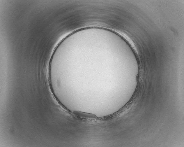 X0000115740815200912101313