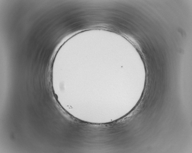 X0000115740816200912101313