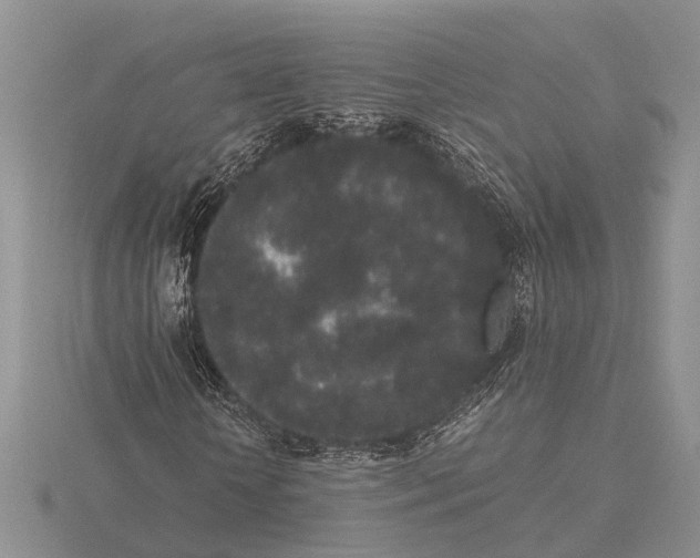 X0000115740818200912101312