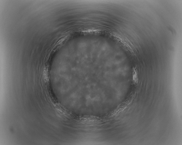 X0000115740819200912101312