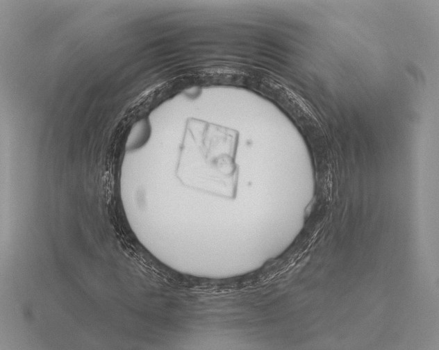 X0000115740821200912101312