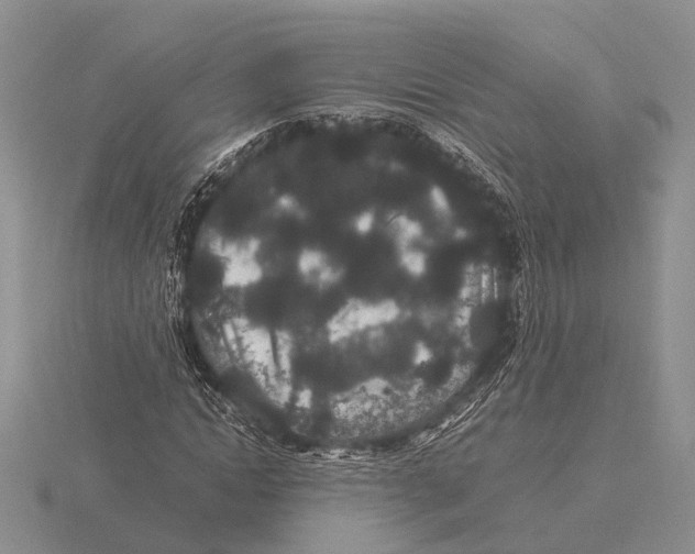 X0000115740822200912101312