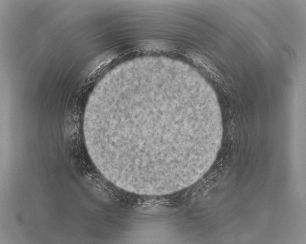 X0000115740824200912101312