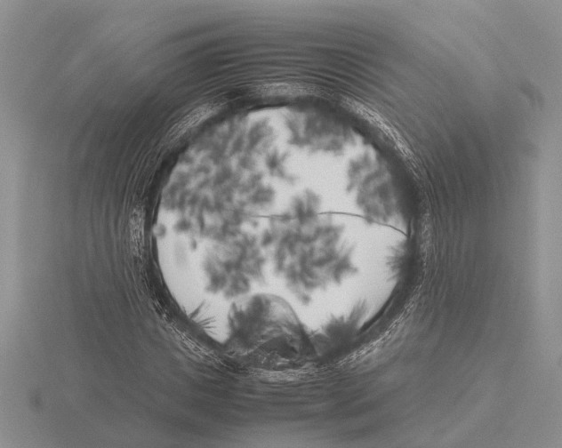 X0000115740825200912101312