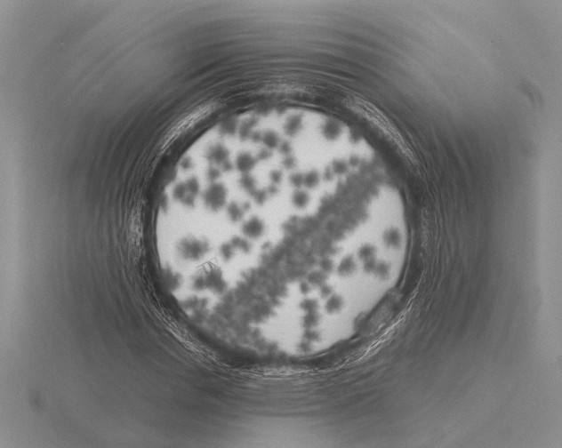 X0000115740826200912101312