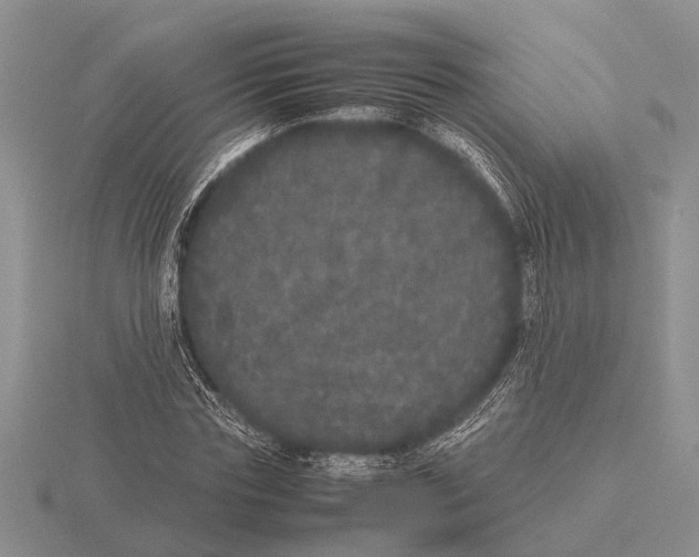 X0000115740827200912101312