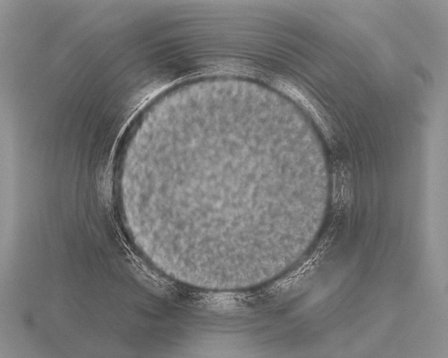 X0000115740828200912101312