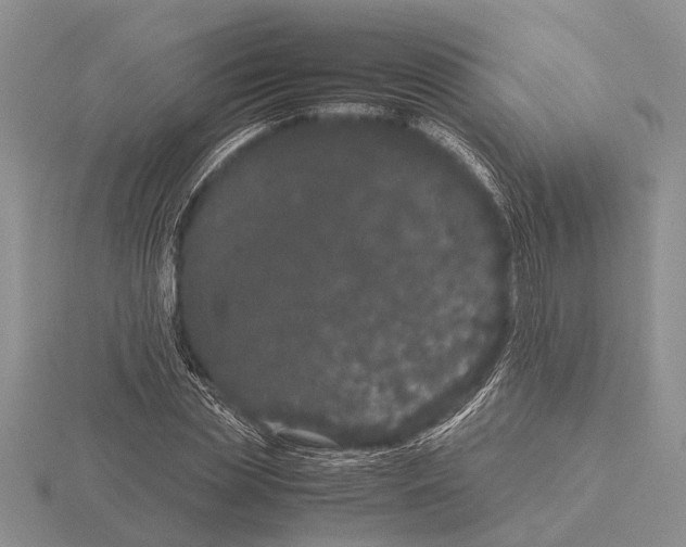 X0000115740829200912101312