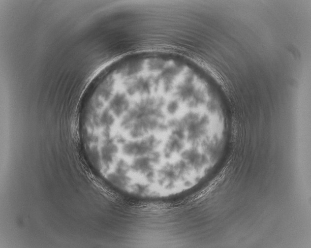 X0000115740830200912101312