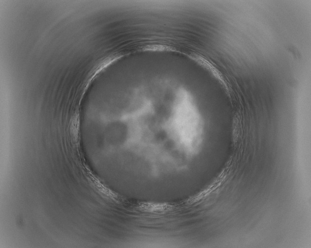 X0000115740831200912101312