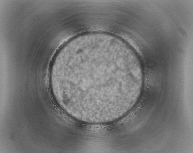 X0000115740832200912101312