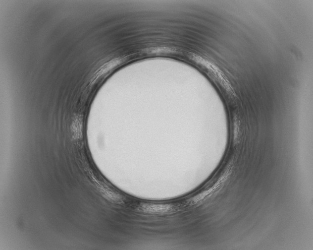 X0000115740833200912101312