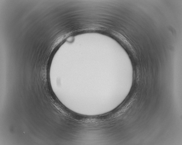 X0000115740834200912101313