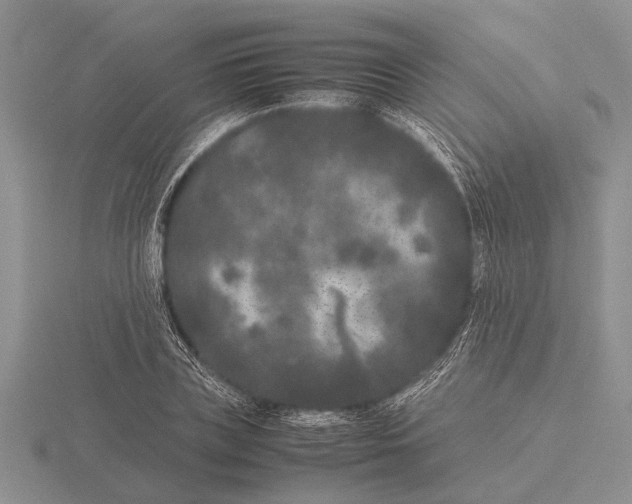 X0000115740835200912101313