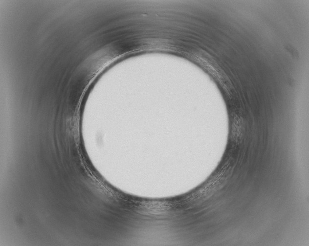 X0000115740836200912101313