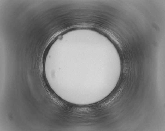 X0000115740837200912101313