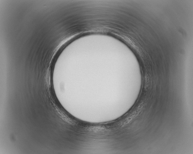 X0000115740838200912101313