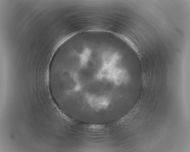 X0000115740839200912101313