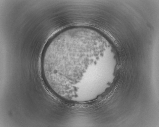 X0000115740840200912101313