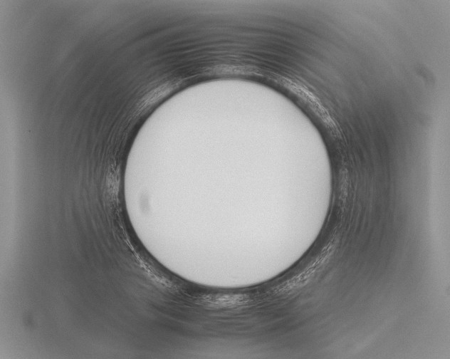 X0000115740841200912101313