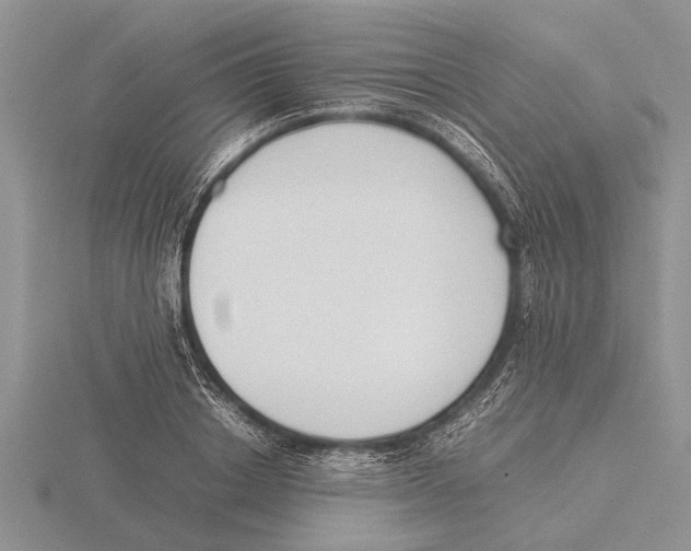 X0000115740842200912101313