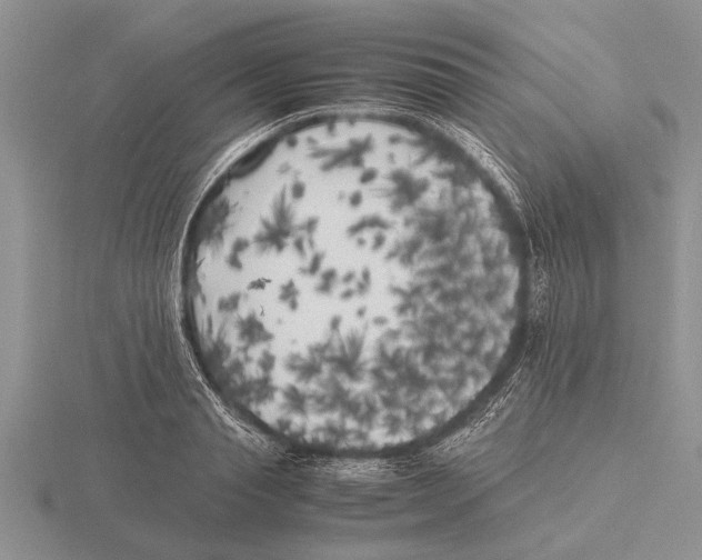 X0000115740845200912101313