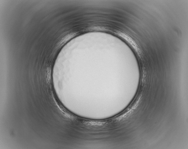 X0000115740849200912101313