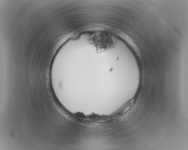 X0000115740850200912101313