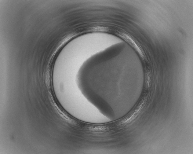 X0000115740851200912101313