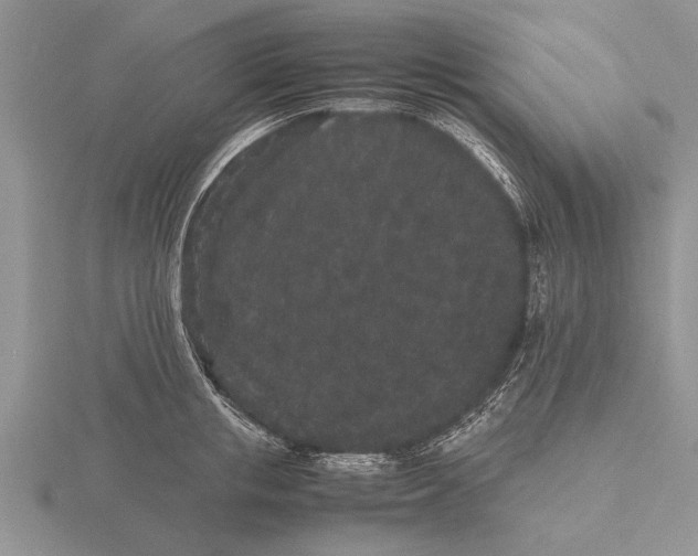 X0000115740853200912101313